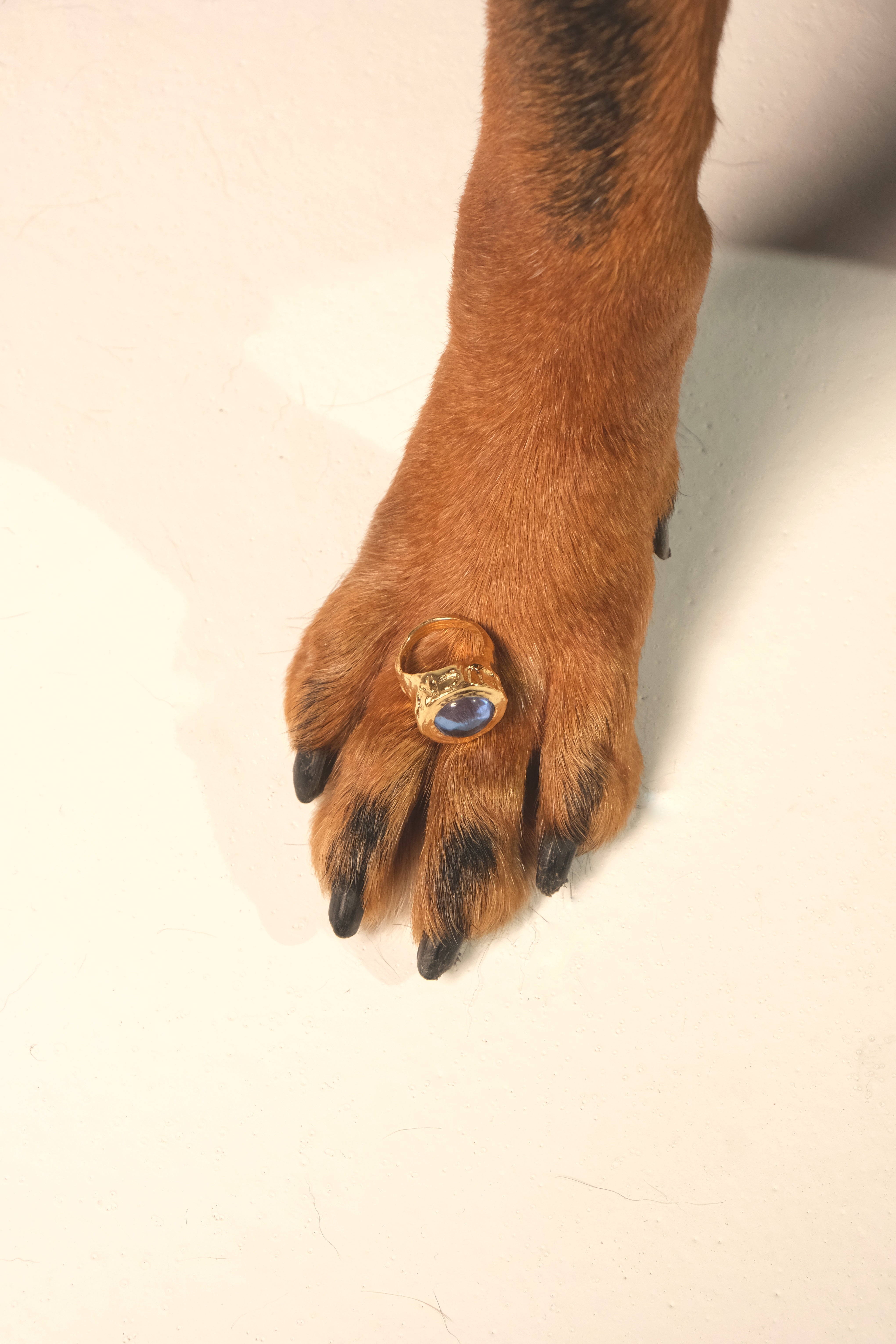 SORTE GRANDE RING