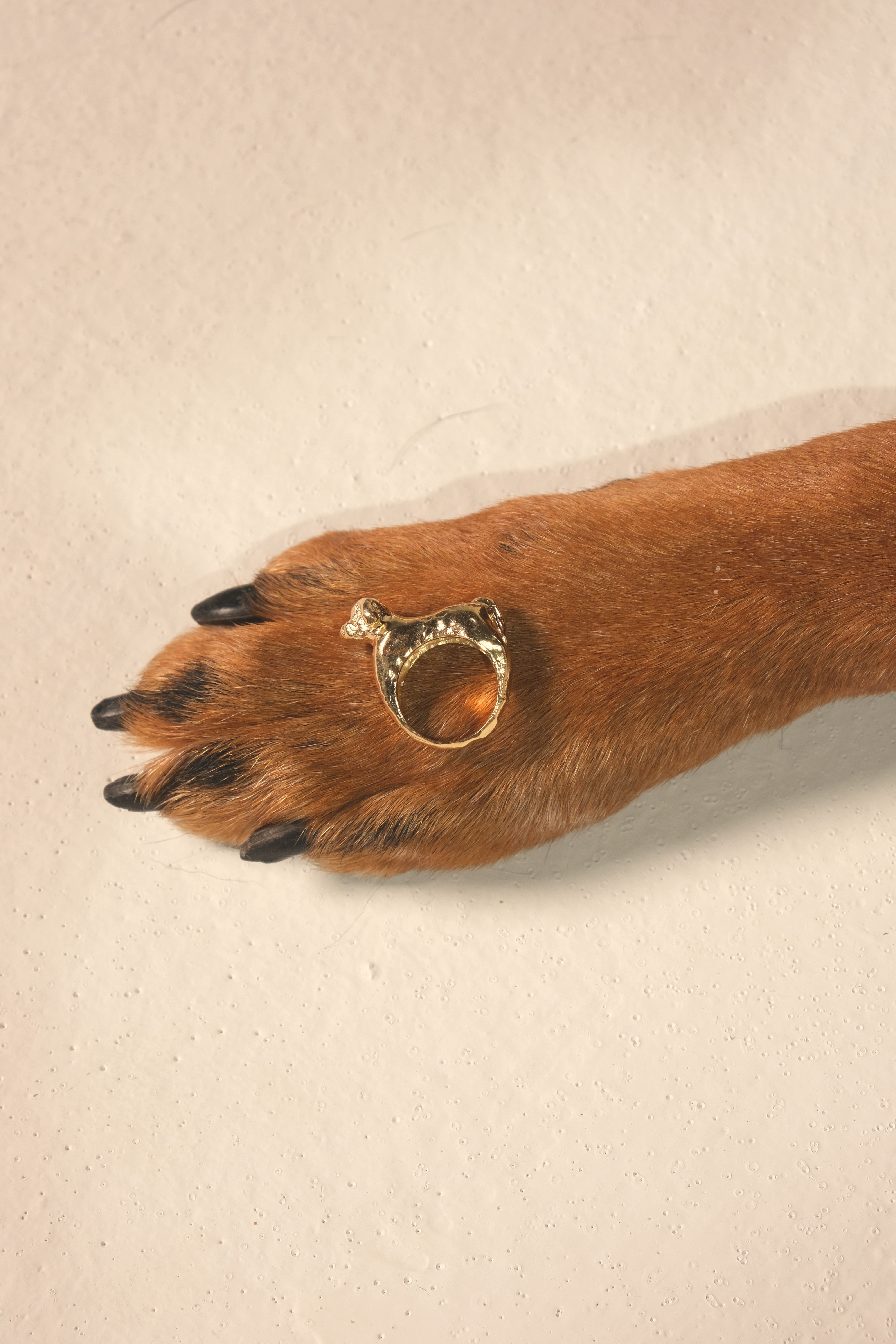 TOTÓ RING